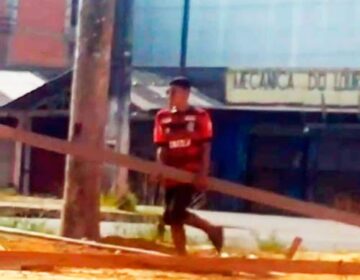 Homem é flagrado retirando sustentação de palmeiras plantadas em Macapá