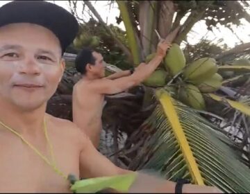 Em busca de recorde, velejadores pernoitam em ilha só com cocos para jantar