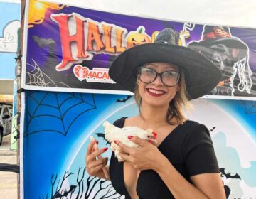Bichos de estimação e até uma galinha ‘curtem’ o Halloween dos Pets