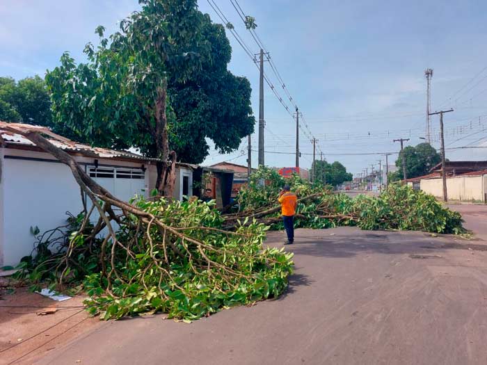 Temporal derrubou 15 árvores e destelhou 30 residências, diz prefeitura