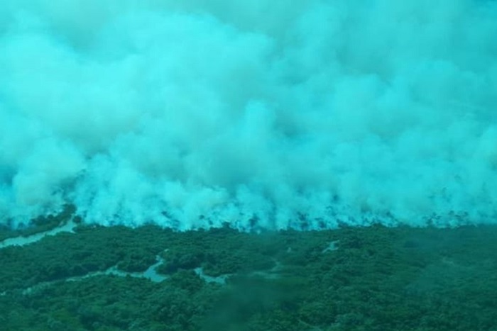 Amapá luta contra incêndio subterrâneo em reserva ambiental