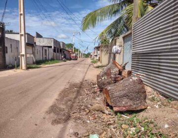 Bebê de 2 meses morre após moto colidir com tronco de árvore na pista