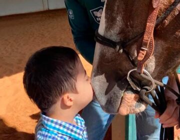 Christina Rocha: planos têm obrigação de cobrir a equoterapia para autistas