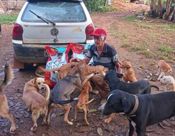 Herói de pets, homem cuida 68 cães maltratados e abandonados