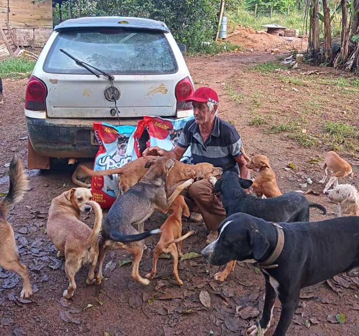 Herói de pets, homem cuida 68 cães maltratados e abandonados