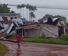 Ventania destelha casas e derruba árvores em Oiapoque