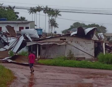 Ventania destelha casas e derruba árvores em Oiapoque