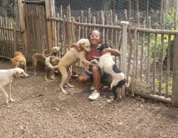 Cuidadora de 100 animais sonha construir abrigo