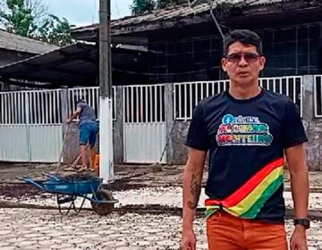 Moradores passam o dia recolhendo besouros: “noite nunca vista”