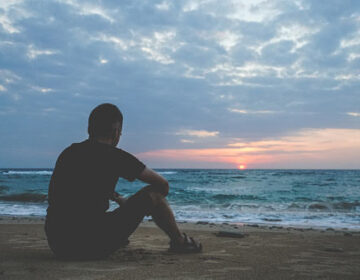 A paciência é amarga, mas os frutos são doces