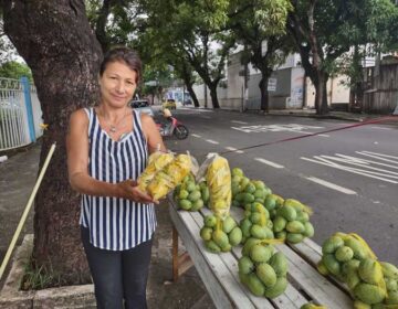 Família supera preconceito e sobrevive da venda de mangas há 8 anos