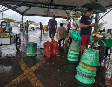 Preço do açaí dispara em Macapá