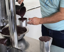 COP30 libera consumo de açaí: ‘foi estupidez’, diz pesquisadora sobre proibição