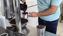 Macapá tem 1 óbito e 3 casos confirmados de doença de Chagas pelo açaí