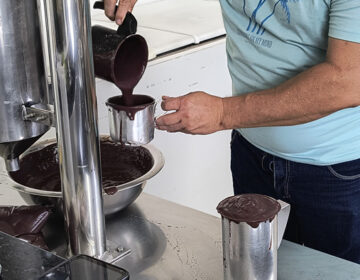 COP30 libera consumo de açaí: ‘foi estupidez’, diz pesquisadora sobre proibição