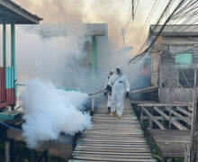 Dengue: Oiapoque chega a mais de 320 casos e estado recorre ao fumacê