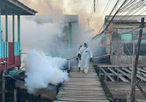 dengue-fumace–(2)