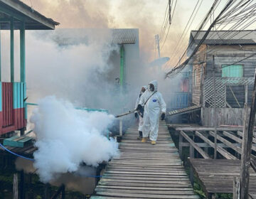 Com 6 mortes e sem vacina, Macapá e Tartarugal lideram casos de dengue