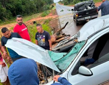 Cavalo morre e passageiros ficam feridos em colisão