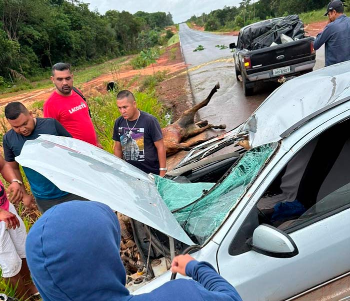 Cavalo morre e passageiros ficam feridos em colisão