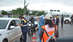 Campanha alerta motoristas para reduzir mortes de pets nas rodovias amapaenses