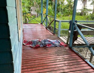 Jovem é morta pelo marido na frente do filho do casal