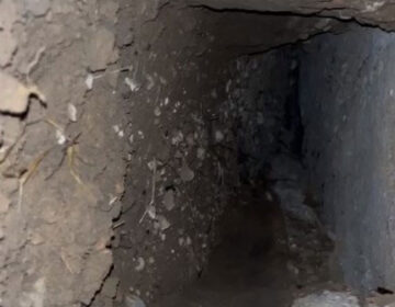 Acesso a túnel para fuga em massa no Iapen é descoberto