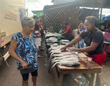 Defeso e atravessadores deixam peixe mais caro na Semana Santa