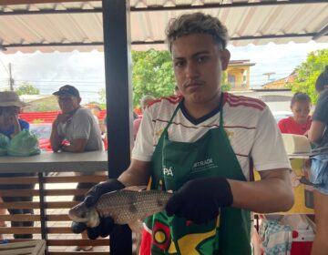 Saiba onde encontrar peixe barato em Macapá