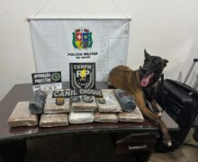 Bope apreende 13 kg de drogas em embarcação vinda do Pará