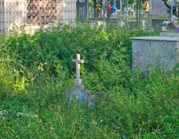 Matagal esconde sepulturas no maior cemitério de Macapá