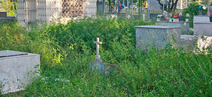Matagal esconde sepulturas no maior cemitério de Macapá