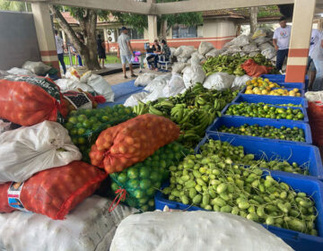 Estado anuncia R$ 32 mi para produção de alimentos
