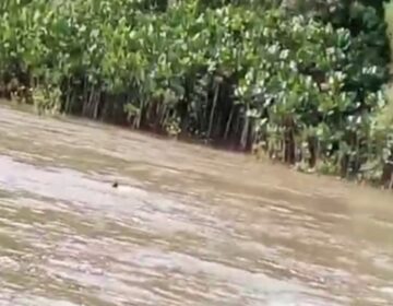 Rixa entre pescadores termina em morte e autores fogem a nado