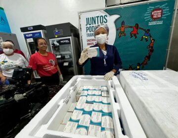 AP recebe 12,3 mil doses de vacina contra a dengue