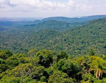 Empresários e servidores do Incra escapam de condenação por grilagem de terras