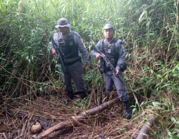 Ossada humana achada em floresta pode ser de homem desaparecido, diz polícia
