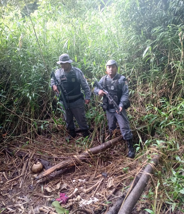 Ossada humana achada em floresta pode ser de homem desaparecido, diz polícia
