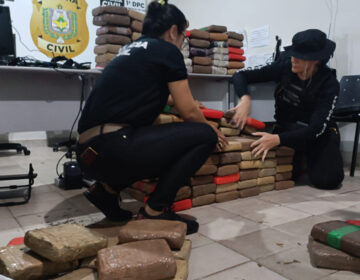 Polícia Civil apreende mais de 200 kg de drogas