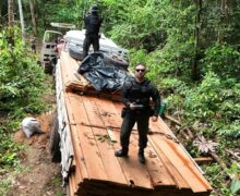 Operação combate desmatamento no interior do Amapá