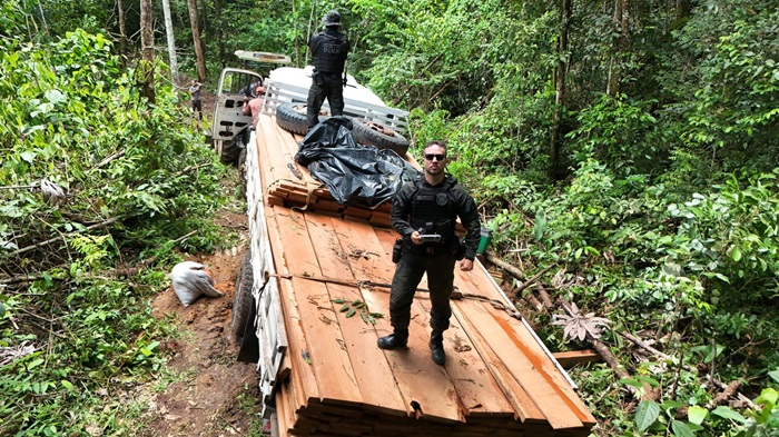 Operação combate desmatamento no interior do Amapá