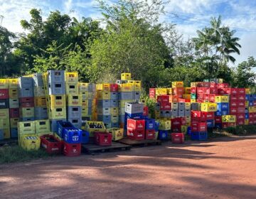 Em Santana, garrafas e grades de cerveja abrigam mosquitos da dengue