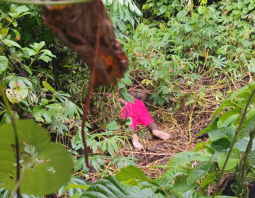 Homem desaparecido é encontrado morto em terreno baldio