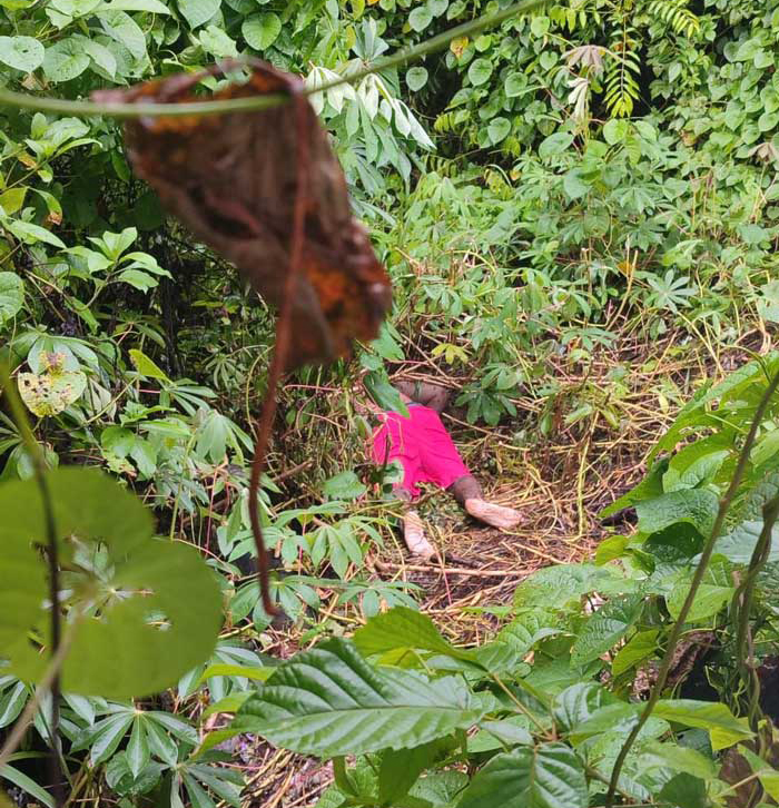 Homem desaparecido é encontrado morto em terreno baldio