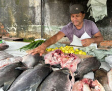 Escassez de espécies encarece pescado em Santana