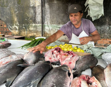 Escassez de espécies encarece pescado em Santana