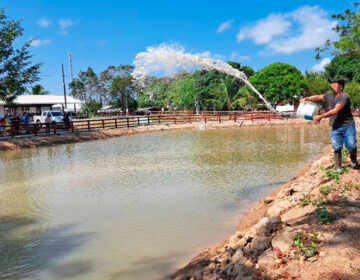 Cooperativa reconhece dívida com fornecedor de peixes da Expofeira de 2023