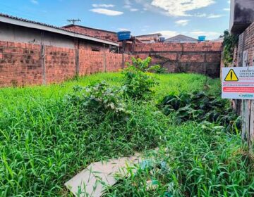 Com 3 mortes na mesma rua, moradores temem surto de dengue