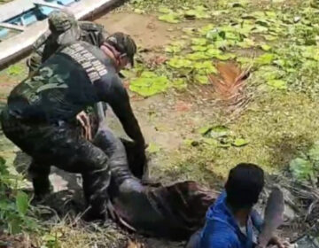 Boto encalhado em lago é salvo por ribeirinhos e policiais