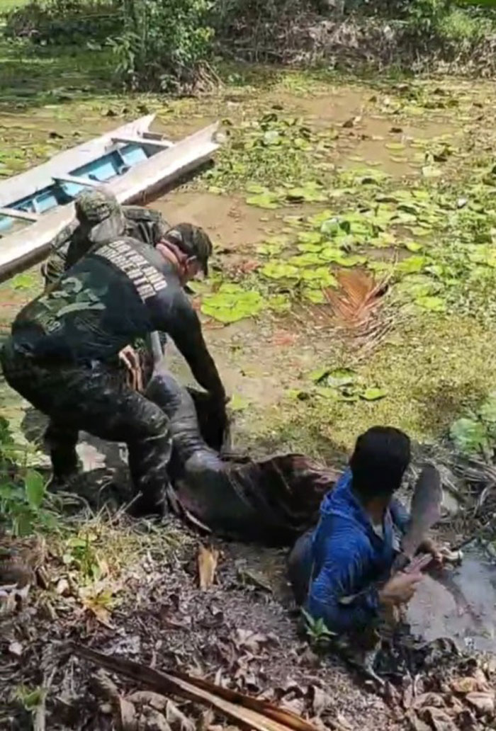 Boto encalhado em lago é salvo por ribeirinhos e policiais